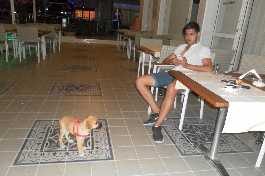 Hotel La Mosae Alanya Eksteriør billede